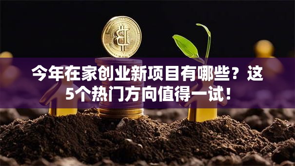 今年在家创业新项目有哪些？这5个热门方向值得一试！