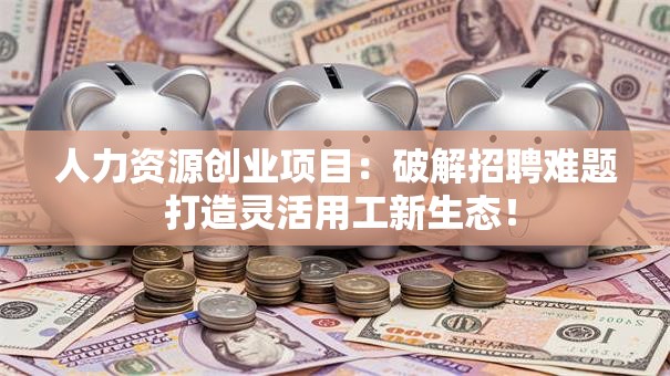 人力资源创业项目：破解招聘难题 打造灵活用工新生态！