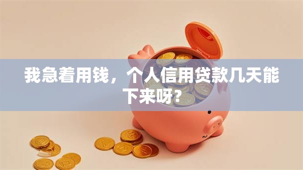 我急着用钱，个人信用贷款几天能下来呀？