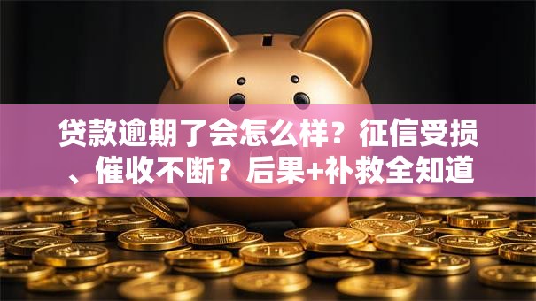 贷款逾期了会怎么样?征信受损、催收不断?后果+补救全知道 贷款逾期了会怎么样?征信受损、催收不断?后果+补救全知道