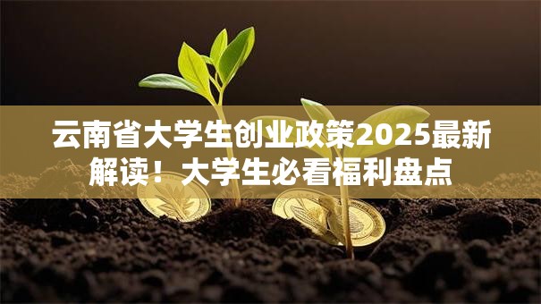 云南省大学生创业政策2025最新解读！大学生必看福利盘点