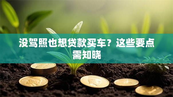 没驾照也想贷款买车？这些要点需知晓