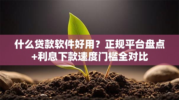 什么贷款软件好用？正规平台盘点+利息下款速度门槛全对比