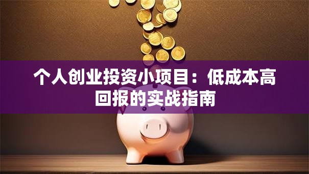 个人创业投资小项目：低成本高回报的实战指南