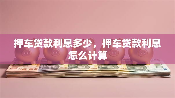 押车贷款利息多少，押车贷款利息怎么计算
