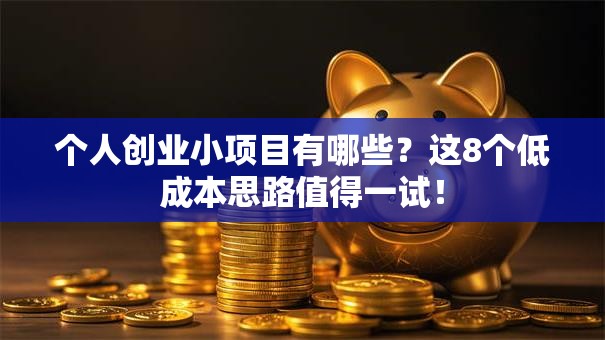 个人创业小项目有哪些？这8个低成本思路值得一试！