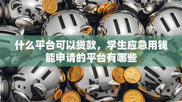什么平台可以贷款，学生应急用钱能申请的平台有哪些