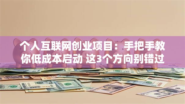 个人互联网创业项目：手把手教你低成本启动 这3个方向别错过