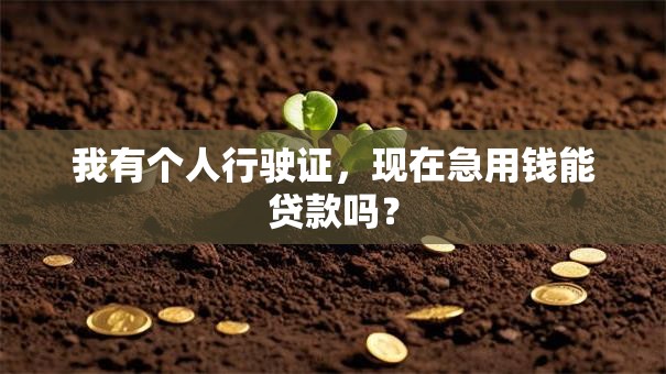 我有个人行驶证，现在急用钱能贷款吗？
