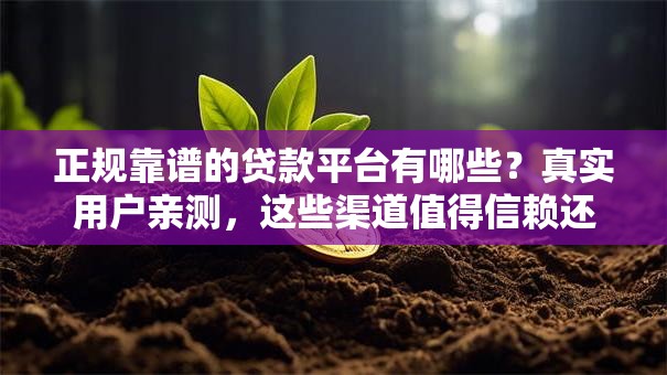 正规靠谱的贷款平台有哪些？真实用户亲测，这些渠道值得信赖还方便