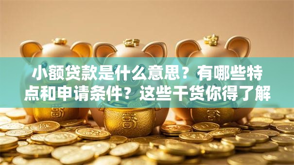 小额贷款是什么意思？有哪些特点和申请条件？这些干货你得了解！