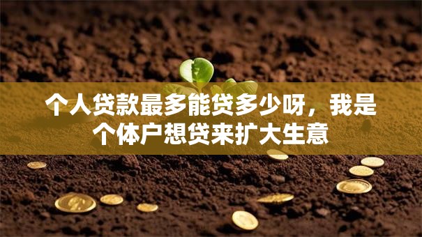 个人贷款最多能贷多少呀，我是个体户想贷来扩大生意