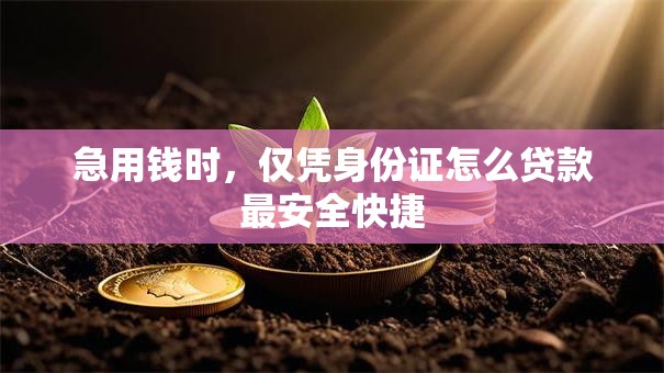 急用钱时，仅凭身份证怎么贷款最安全快捷