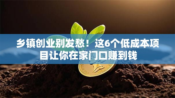 乡镇创业别发愁!这6个低成本项目让你在家门口赚到钱 乡镇创业别发愁!这6个低成本项目让你在家门口赚到钱