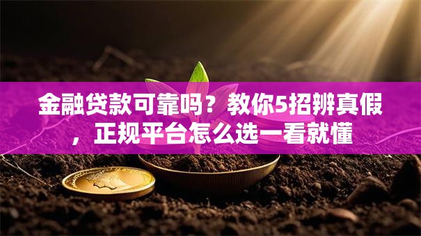 金融贷款可靠吗？教你5招辨真假，正规平台怎么选一看就懂