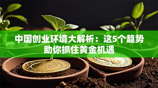 中国创业环境大解析：这5个趋势助你抓住黄金机遇