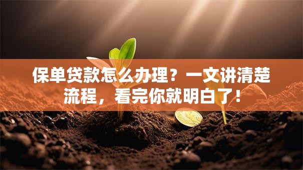 保单贷款怎么办理？一文讲清楚流程，看完你就明白了！