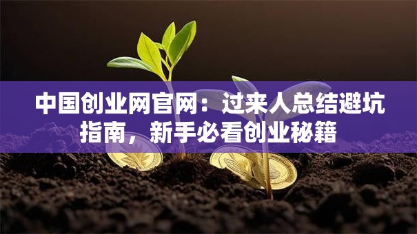 中国创业网官网：过来人总结避坑指南，新手必看创业秘籍
