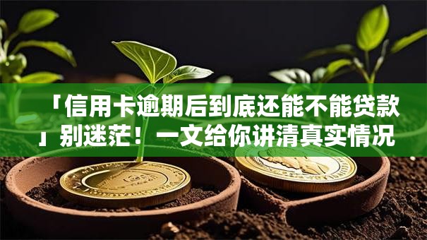 「信用卡逾期后到底还能不能贷款」别迷茫！一文给你讲清真实情况