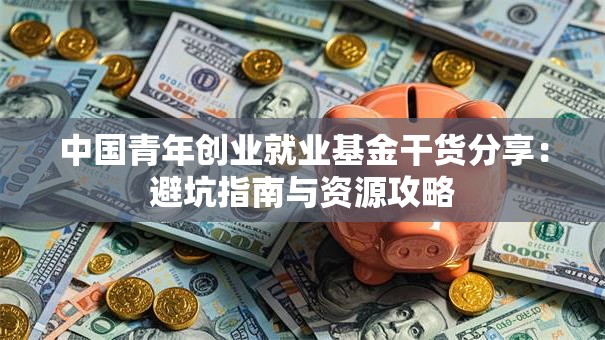 中国青年创业就业基金干货分享：避坑指南与资源攻略