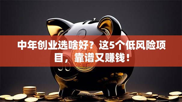 中年创业选啥好？这5个低风险项目，靠谱又赚钱！