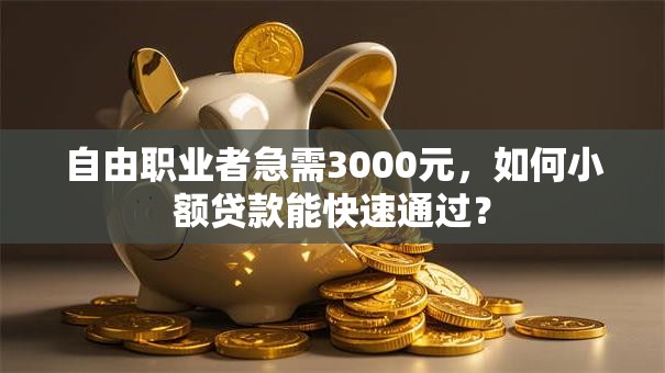 自由职业者急需3000元，如何小额贷款能快速通过？