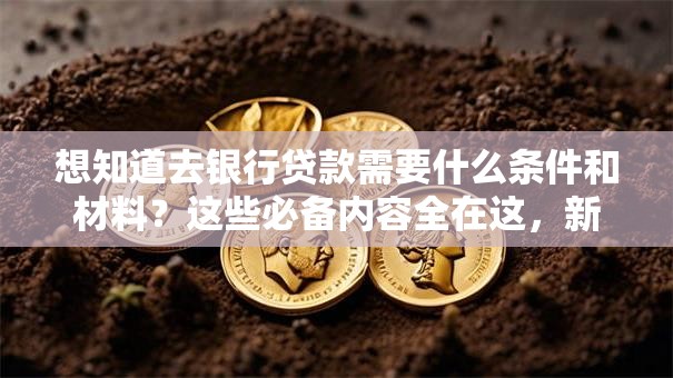 想知道去银行贷款需要什么条件和材料？这些必备内容全在这，新手看完也能轻松弄明白