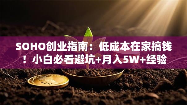 SOHO创业指南：低成本在家搞钱！小白必看避坑+月入5W+经验