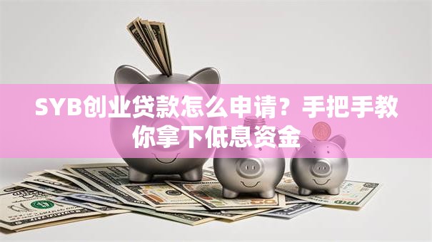 SYB创业贷款怎么申请？手把手教你拿下低息资金