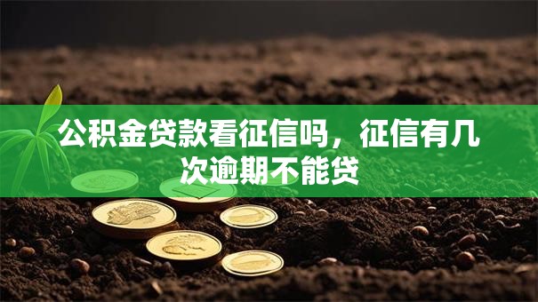 公积金贷款看征信吗，征信有几次逾期不能贷