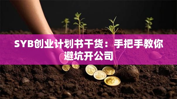 SYB创业计划书干货：手把手教你避坑开公司