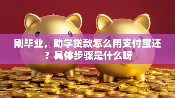 刚毕业，助学贷款怎么用支付宝还？具体步骤是什么呀