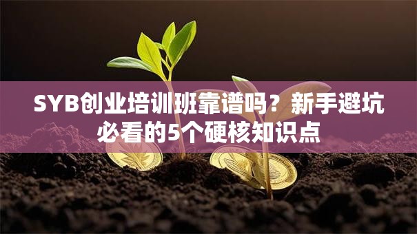 SYB创业培训班靠谱吗？新手避坑必看的5个硬核知识点