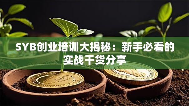 SYB创业培训大揭秘：新手必看的实战干货分享