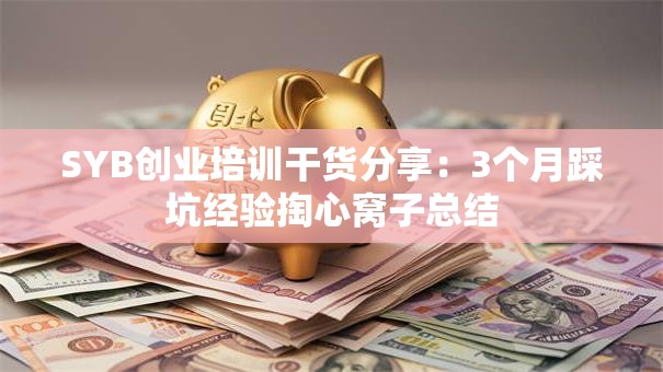 SYB创业培训干货分享：3个月踩坑经验掏心窝子总结