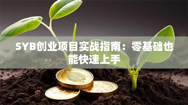 SYB创业项目实战指南：零基础也能快速上手