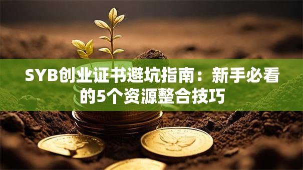 SYB创业证书避坑指南：新手必看的5个资源整合技巧