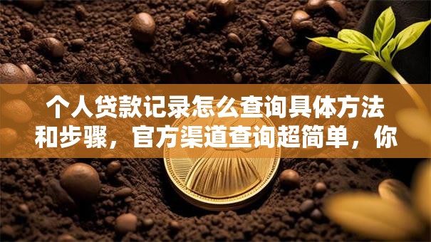 个人贷款记录怎么查询具体方法和步骤，官方渠道查询超简单，你也能快速学会
