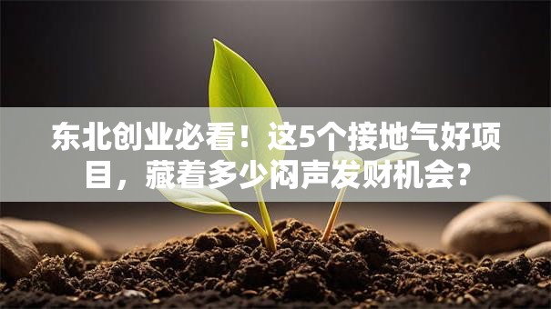 东北创业必看！这5个接地气好项目，藏着多少闷声发财机会？