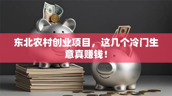 东北农村创业项目，这几个冷门生意真赚钱！