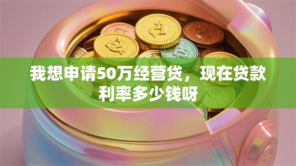 我想申请50万经营贷，现在贷款利率多少钱呀