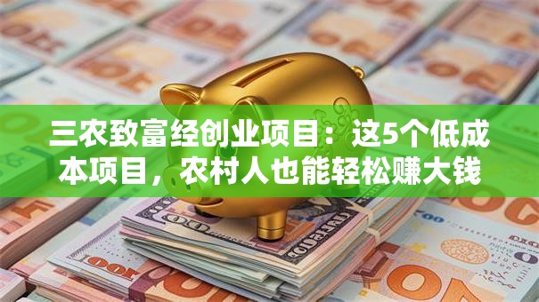 三农致富经创业项目：这5个低成本项目，农村人也能轻松赚大钱！
