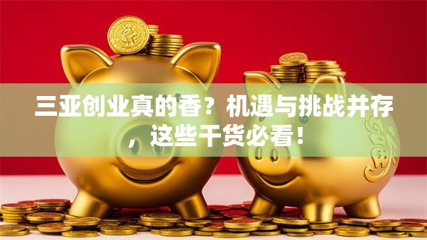 三亚创业真的香？机遇与挑战并存，这些干货必看！