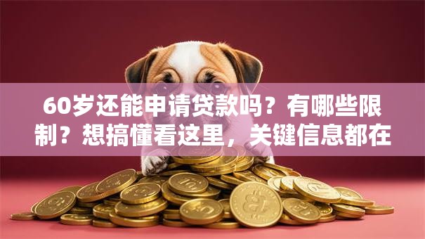 60岁还能申请贷款吗？有哪些限制？想搞懂看这里，关键信息都在这！