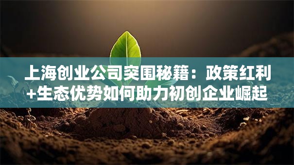 上海创业公司突围秘籍：政策红利+生态优势如何助力初创企业崛起？