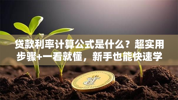 贷款利率计算公式是什么？超实用步骤+一看就懂，新手也能快速学会