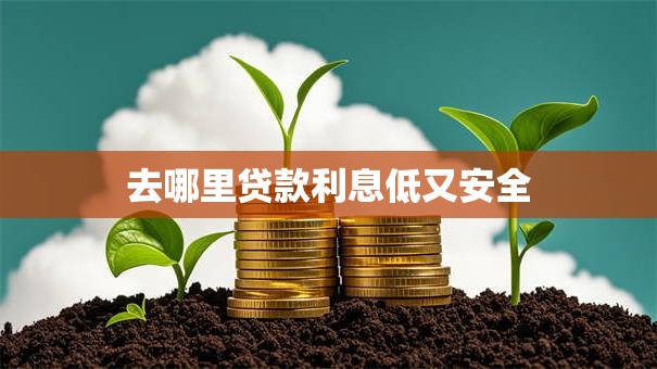 去哪里贷款利息低又安全