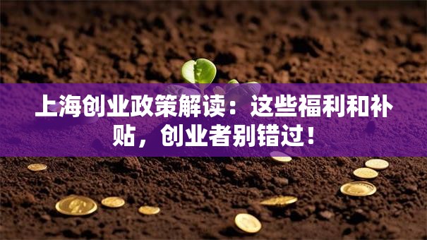 上海创业政策解读：这些福利和补贴，创业者别错过！