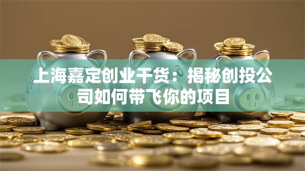 上海嘉定创业干货：揭秘创投公司如何带飞你的项目
