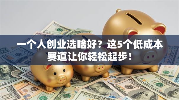 一个人创业选啥好？这5个低成本赛道让你轻松起步！